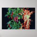Search for hot fire posters Pepper