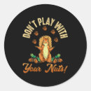 Search for squirrel stickers Inspiration