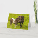 Search for cathy cards Horse