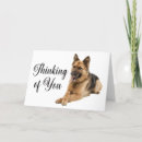 Search for german shepherd puppy cards Cute