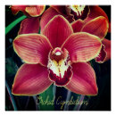 Search for orchid posters Garden