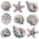 Search for scallop shell stickers Watercolor