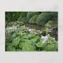 Search for hosta postcards Garden