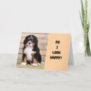 Search for for neighbours seasonal cards Friend