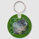 Search for postage accessories Nature