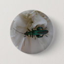 Search for beetle badges Wildlife