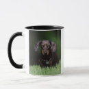 Search for dapple dachshund gifts Animal