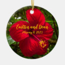 Search for hibiscus christmas tree decorations Red