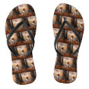 Search for brittany spaniel gifts Pet