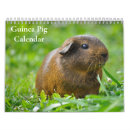 Search for pig calendars 2025