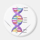 Search for dna magnets Nature