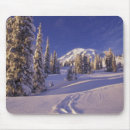 Search for washington mouse mats Mount rainier national park
