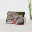 Search for echeveria postcards Garden