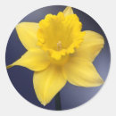 Search for watercolor flower painting stickers Bloom