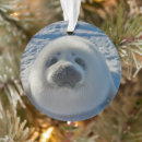 Search for pup christmas tree decorations Seal
