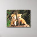 Search for wildlife canvas prints Animal photography