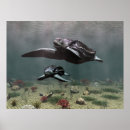Search for leatherback turtle Animal