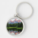 Search for reflections key rings Nature