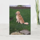 Search for blank cards Golden retriever