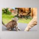 Search for lovely dog posters Cute