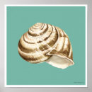 Search for stripes posters Sea