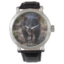 Search for carnivorous accessories Wildlife