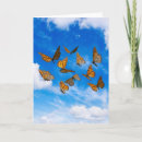 Search for monarch butterfly cards White