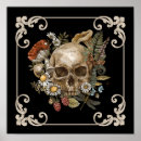 Search for animal skeleton posters Nature