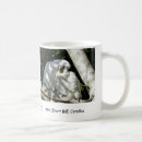Search for billed mugs Wildlife