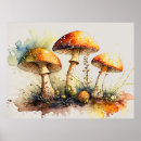 Search for toadstool gifts Fly agaric