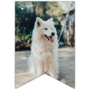 Search for photo bunting flags Dog