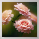 Search for soft rose posters Pink