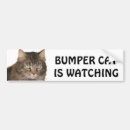Search for cat bumper stickers Tailgating