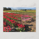 Search for spring pink postcards Field