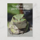 Search for toad vertical postcards Amphibian