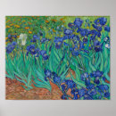 Search for irises posters Vincent