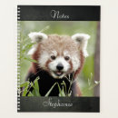 Search for kawaii panda office supplies Animal