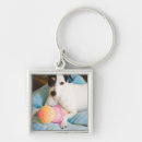 Search for resting key rings Playful