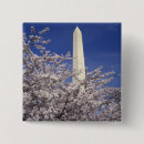 Search for washington dc badges Usa