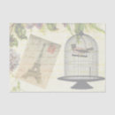 Search for shabby tissue paper French