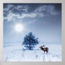 Search for lonely tree posters Beautiful