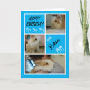 Search for bunny birthday cards Blue