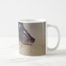 Search for pot bellied pig mugs Funny