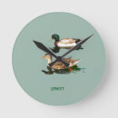 Search for duck clocks Nature