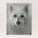 Search for west highland terrier puzzles White