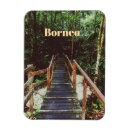 Search for borneo magnets Malaysia