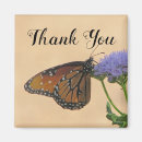 Search for monarch butterfly magnets Wildlife