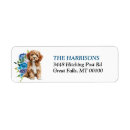 Search for dog breed return address labels Cavapoo