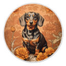 Search for dachshund knobs and pulls Animal