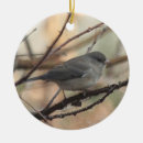 Search for migrator christmas tree decorations Birds